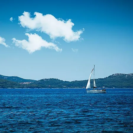 Daire Cozy Old Town Zadar